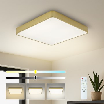 Brilagi - LED dimmelhető mennyezeti lámpatest POOL LED/36W/230V 3000-6000K 40x40 cm arany + távirányító