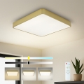 Brilagi - LED dimmelhető mennyezeti lámpatest POOL SQUARE LED/36W/230V 3000-6000K 40x40 cm arany + távirányító