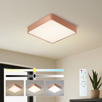 BRILAGI - LED dimmelhető mennyezeti lámpatest POOL SQUARE LED/48W/230V 3000-6000K 50x50 cm bronz + távirányító