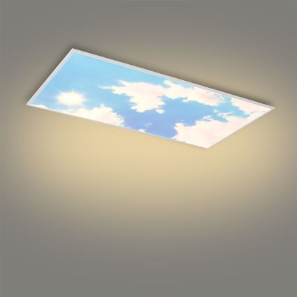 Brilagi - LED fényerőszabályozható mennyezeti lámpatest SLIMFRAME SKY LED/80W/230V 120x60 cm 3000-6000K ezüst/kék + távirányító