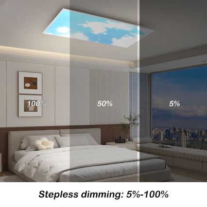 Brilagi - LED fényerőszabályozható mennyezeti lámpatest SLIMFRAME SKY LED/80W/230V 120x60 cm 3000-6000K ezüst/kék + távirányító