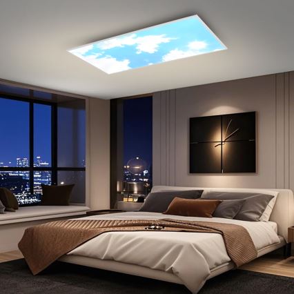 Brilagi - LED fényerőszabályozható mennyezeti lámpatest SLIMFRAME SKY LED/80W/230V 120x60 cm 3000-6000K ezüst/kék + távirányító