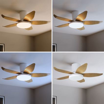 Brilagi - LED fényerőszabályozható mennyezeti ventilátor LED/32W/230V 95 cm fehér/barna + távirányító