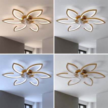 Brilagi - LED-fényerőszabályozható mennyezeti ventilátor LED/34W/230V Ø 78 cm arany + távirányító