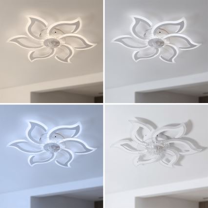 Brilagi - LED, fényerőszabályozható mennyezeti ventilátor, 34 W, 230 V, 3000–6500 K, Ø 83 cm, fehér + távirányító