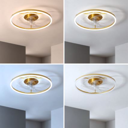 BRILAGI - LED fényerőszabályozható mennyezeti ventilátor LED/66W/230V 3000-6500K átm. 55 cm fehér/arany + távirányító