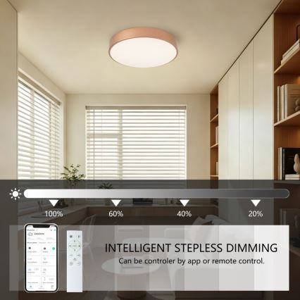 Brilagi - Fényerőszabályozható LED mennyezeti lámpa POOL SMART LED/48W/230V 3000-6000K átm. 40 cm Wi-Fi Tuya bronz színű + távirányítóval