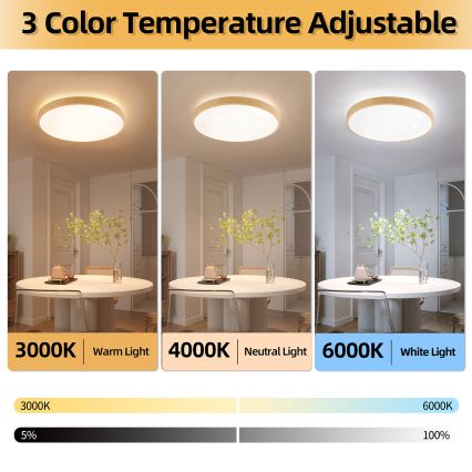 Brilagi - GLASS POOL DOUBLE LED dimmelhető mennyezeti lámpatest/80W/230V 3000-6000K 60 cm fa dekor + távirányító