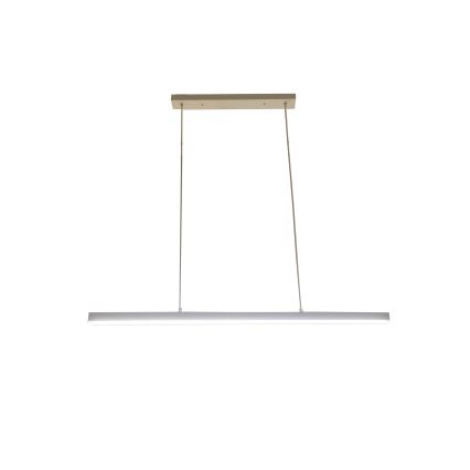 Brilagi - LED drótkábeles csillár PAXIS LED/30W/230V 120 cm fehér