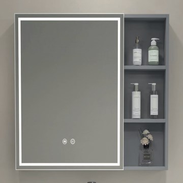 BRILAGI - LED-es fürdőszobai tükörszekrény világítással AVOLA SINGLE 55x70 cm