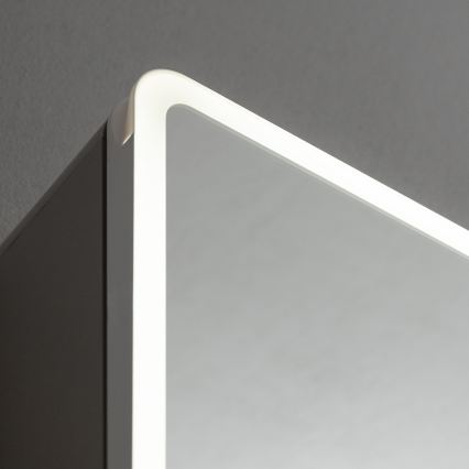 BRILAGI - LED-es tükörszekrény világítással BRONTE DOUBLE 60x75 cm