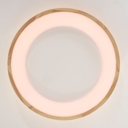 Brilagi - FALCON WOOD LED mennyezeti lámpatest, 40W, 230V, 3000/4000/6000K, Ø 60 cm, fa