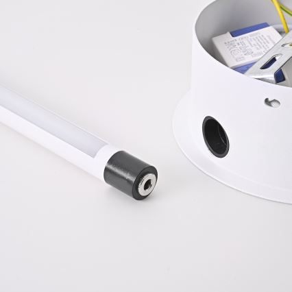 Brilagi - LED Fali lámpa LUGO TRE LED/14W/230V fehér