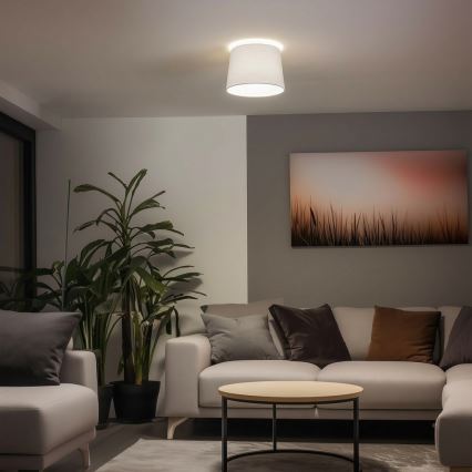 Brilagi - LED felületre szerelhető csillár CERIA 1xE27/40W/230V átm. 30 cm fehér