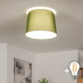 Brilagi - LED felületre szerelhető csillár CERIA 1xE27/40W/230V átmérő 30 cm zöld