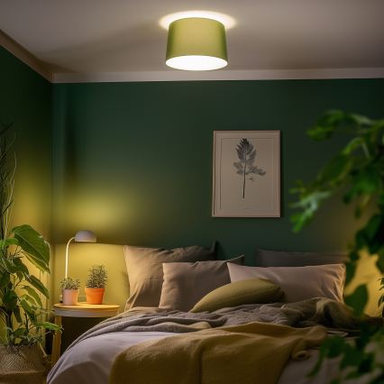 Brilagi - LED felületre szerelhető csillár CERIA 1xE27/40W/230V Ø 45 cm zöld