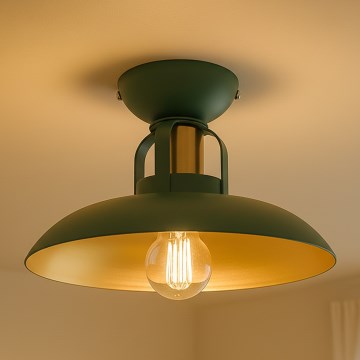 Brilagi - LED Felületre szerelhető csillár  FLAMENGO 1xE27/60W/230V zöld