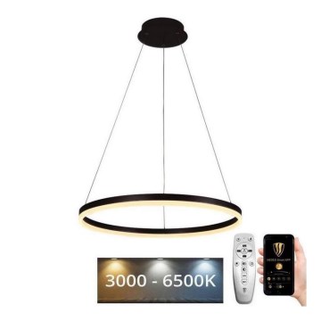 Brilagi - LED fényerőszabályozható CIRCLE kábeles függőlámpa 42W/230V 3000-6500K átm. 60 cm + távirányító