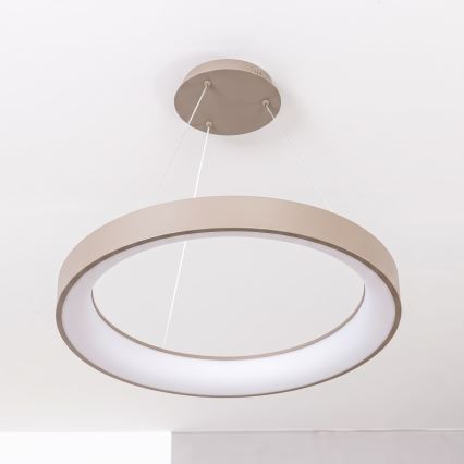 BRILAGI - LED Dimmelhető kábelen függesztett csillár FALCON II LED/99W/230V 3000-6500K átm. 60 cm bézs + távirányító