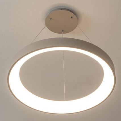 BRILAGI - LED Dimmelhető kábelen függesztett csillár FALCON II LED/99W/230V 3000-6500K átm. 60 cm bézs + távirányító