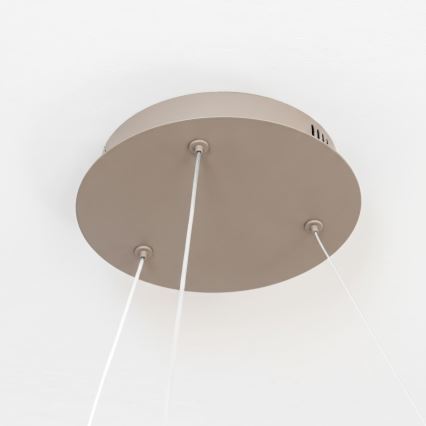 BRILAGI - LED Dimmelhető kábelen függesztett csillár FALCON II LED/99W/230V 3000-6500K átm. 60 cm bézs + távirányító