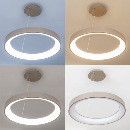 BRILAGI - LED Dimmelhető kábelen függesztett csillár FALCON II LED/99W/230V 3000-6500K átm. 60 cm bézs + távirányító