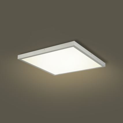 Brilagi - LED dimmelhető fürdőszobai mennyezeti lámpa FRAME SMART LED/50W/230V 60x60 cm 3000-6000K IP44 ezüst + távirányító