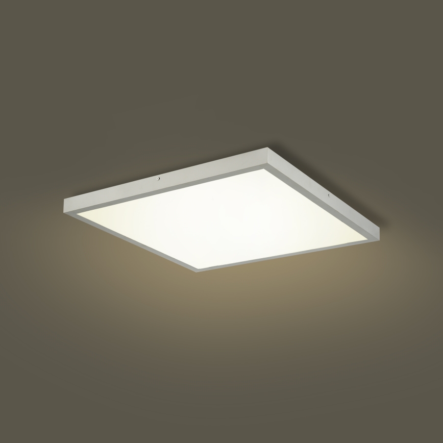 Brilagi - LED dimmelhető fürdőszobai mennyezeti lámpa FRAME SMART LED/50W/230V 60x60 cm 3000-6000K IP44 ezüst + távirányító