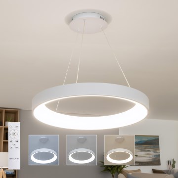Brilagi - LED fényerőszabályozható kábeles csillár FALCON II LED/99W/230V 3000-6500K átm. 60 cm fehér + távirányító