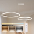 Brilagi - LED-fényerőszabályozható kábeles csillár PORTOFINO LED/98W/230V 3000-6000K ezüstszínű + távirányító