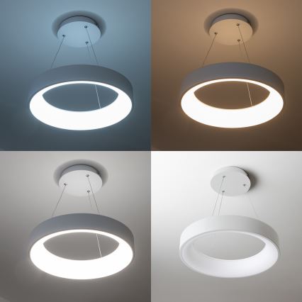 Brilagi - FALCON LED dimmelhető függeszték kábelen, 80 W, 230 V, 3000–6500 K, Ø 60 cm, fehér + távirányító
