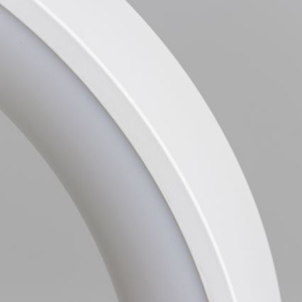 Brilagi - FALCON LED dimmelhető függeszték kábelen, 80 W, 230 V, 3000–6500 K, Ø 60 cm, fehér + távirányító