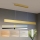 Brilagi - LED fényerőszabályozható kábelre függesztett csillár SLIMLINE LED/40W/230V 3000-6000K arany + távirányító