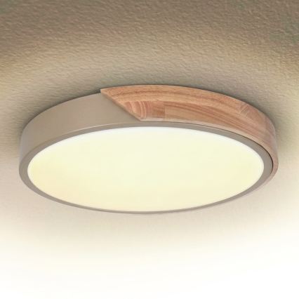 BRILAGI - LED Fényerőszabályozható mennyezeti lámpa PILANA LED/48W/230V 3000-6500K tölgy/bézs átm. 40 cm + távirányító