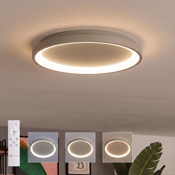 BRILAGI - LED fényerőszabályozható mennyezeti lámpa FALCON SLIM LED/42W/230V 3000-6500K átmérő 50 cm bézs + távirányító