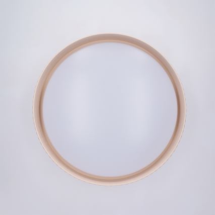Brilagi - LUCIA dimmelhető LED mennyezeti lámpa LED/48W/230V 3000-6500K, átmérő 41 cm, bézs + távirányító
