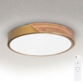 BRILAGI - LED fényerőszabályozható mennyezeti lámpa PILANA LED/48W/230V 3000-6500K tölgy/arany átmérő 40 cm + távirányító