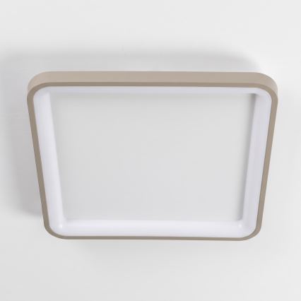 BRILAGI - Fényerőszabályozható mennyezeti LED világítótest FALCON SLIM LED/50W/230V 3000-6500K 50x50 cm fehér/bézs + távirányító