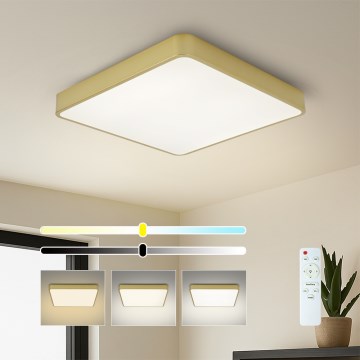 Brilagi - LED fényerőszabályozható mennyezeti lámpatest POOL SQUARE LED/48W/230V 3000-6000K 50x50 cm aranyszínű + távirányító
