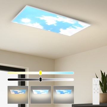 Brilagi - LED fényerőszabályozható mennyezeti lámpatest SLIMFRAME LED/80W/230V 120x60 cm 3000-6000K ezüst/kék + távirányító