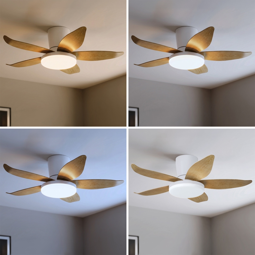 Brilagi - LED dimmelhető mennyezeti ventilátor LED/32W/230V 3000-6500K átm. 95 cm fehér/barna + távirányító