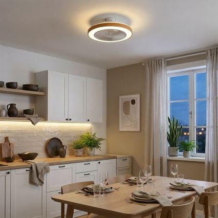 Brilagi - LED-dimmelhető mennyezeti ventilátor, 38W/230V, 3000–6500K, Ø 50 cm, fehér/barna + távirányító