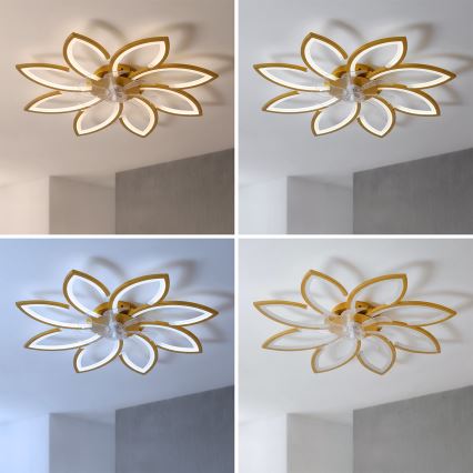 Brilagi - LED fényerőszabályozható mennyezeti ventilátor LED/43W/230V, átmérő 90 cm, arany + távirányító