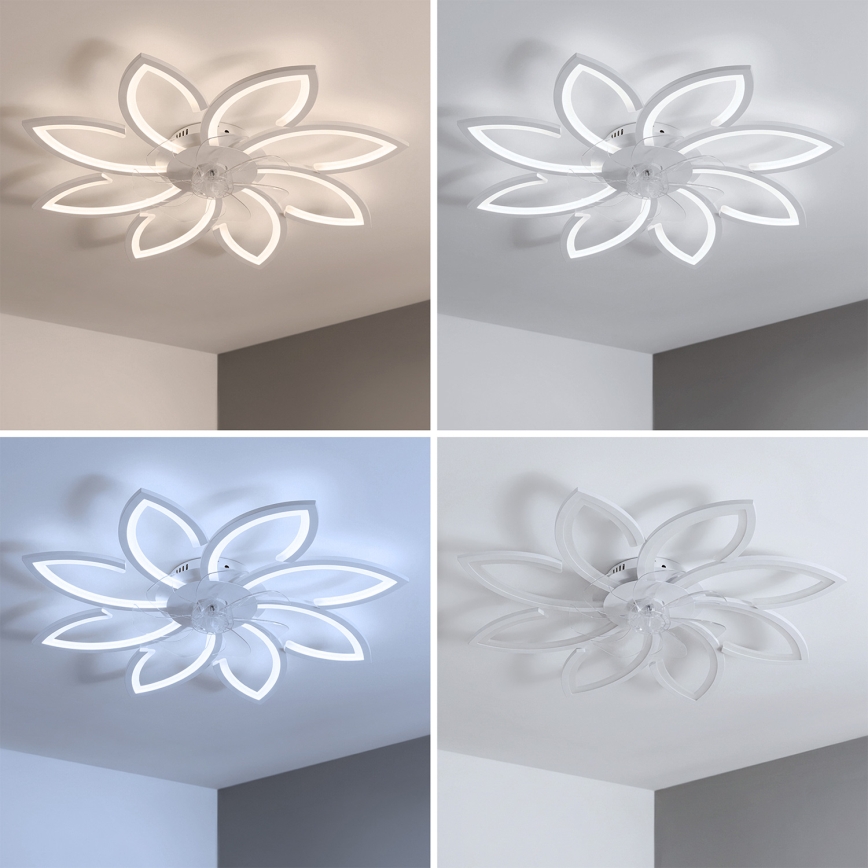Brilagi - LED Dimmelhető mennyezeti ventilátor LED/43W/230V 3000-6500K átm. 90 cm fehér + távirányító