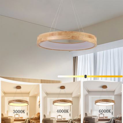 Brilagi - LED kábeles függőlámpa FALCON WOOD LED/40W/230V 3000/4000/6000K átm. 60 cm fa
