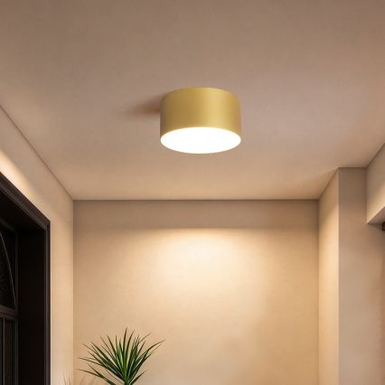 BRILAGI - LED fürdőszobai mennyezeti lámpa FORIS LED/14W/230V átm. 12 cm aranyszínű IP44