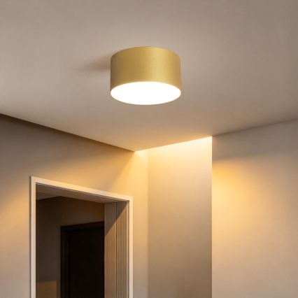 BRILAGI - LED fürdőszobai mennyezeti lámpa FORIS LED/14W/230V átm. 12 cm aranyszínű IP44