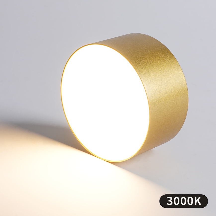 BRILAGI - LED fürdőszobai mennyezeti lámpa FORIS LED/14W/230V átm. 12 cm aranyszínű IP44
