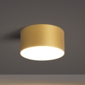 BRILAGI - LED fürdőszobai mennyezeti lámpa FORIS LED/14W/230V átm. 12 cm aranyszínű IP44