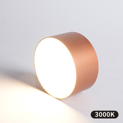 BRILAGI - LED Fürdőszobai mennyezeti lámpatest FORIS LED/14W/230V átmérő: 12 cm bronzszínű IP44